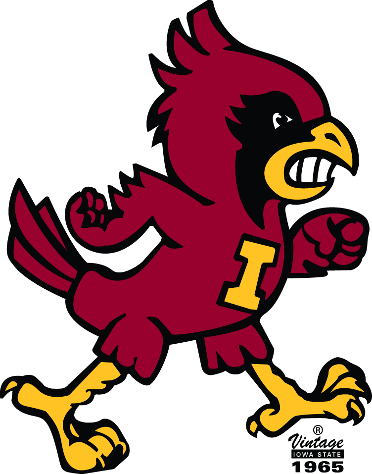 Iowa State Cyclones 1965-1977 Alternate Logo diy iron on heat transfer